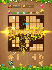 Block Puzzle: Wood Winner screenshot, image №2903557 - RAWG