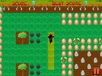 Ninja Lawn Mowing Madness screenshot, image №1944446 - RAWG