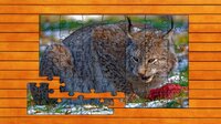 Wild Lynx Jigsaw screenshot, image №4161184 - RAWG