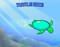 Turtle Race screenshot, image №3062308 - RAWG