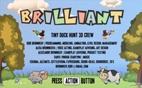 Tiny Duck Hunt 3D screenshot, image №4169409 - RAWG