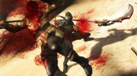 Ninja Gaiden 3 screenshot, image №564187 - RAWG