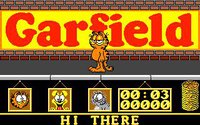 Garfield: Big Fat Hairy Deal screenshot, image №744415 - RAWG