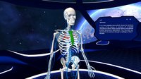 Human Anatomy VR screenshot, image №2150008 - RAWG