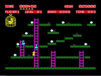 Chuckie Egg (arcade) screenshot, image №3797070 - RAWG