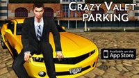 Crazy Valet Parking King 3D screenshot, image №1716748 - RAWG