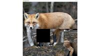 hgmGame-fox screenshot, image №4200495 - RAWG