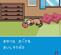 Ferret Monogatari: Watashi no Okiniiri screenshot, image №3804123 - RAWG