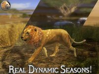 Ultimate Lion Simulator 2 screenshot, image №2282497 - RAWG