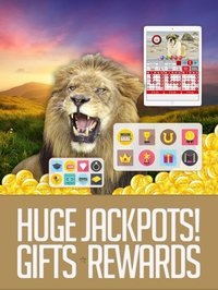 ANIMAL BINGO - Live Animal Bingo & Slots! screenshot, image №1979896 - RAWG