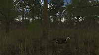 Wild Turkey Hunter VR screenshot, image №809263 - RAWG