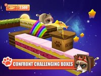 Kitty in the Box screenshot, image №1479533 - RAWG