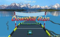 Down Hill Run screenshot, image №1270602 - RAWG