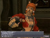 Final Fantasy XI: Treasures of Aht Urhgan screenshot, image №444076 - RAWG