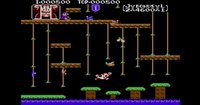 Donkey Kong Jr. screenshot, image №822768 - RAWG