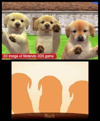 nintendogs + cats: Toy Poodle & New Friends screenshot, image №783005 - RAWG