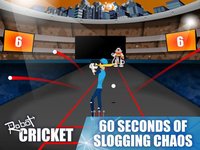 Robot Cricket screenshot, image №1951111 - RAWG