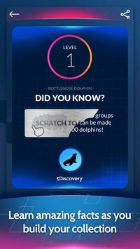 Discovery Card Quest screenshot, image №708749 - RAWG