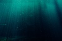 Deepsea Dive screenshot, image №2271330 - RAWG