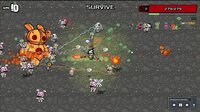 Bearzerk screenshot, image №4230083 - RAWG