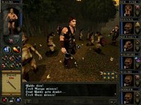 Wizards & Warriors: Quest for the Mavin Sword screenshot, image №1323979 - RAWG