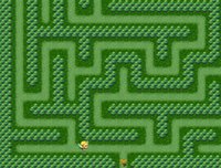 Maze Quest 1: The Forest screenshot, image №833238 - RAWG