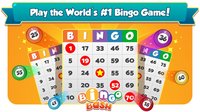Bingo Bash screenshot, image №691462 - RAWG
