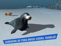 Seal Survival Simulator 3D screenshot, image №1333283 - RAWG