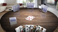 Crazy Eights 3D Premium screenshot, image №2220489 - RAWG