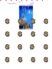 Animal Faces L/R Touch screenshot, image №1812960 - RAWG
