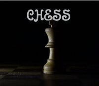 Online Chess screenshot, image №3262365 - RAWG
