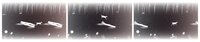 Dont Fall Behind screenshot, image №1207619 - RAWG