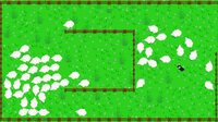 137 Sheep screenshot, image №2447597 - RAWG