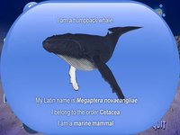 Humpback Whale Free screenshot, image №1971416 - RAWG
