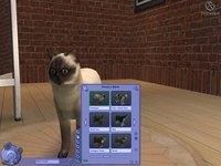 The Sims 2: Pets screenshot, image №457906 - RAWG