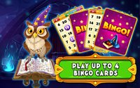 Wizard of Bingo screenshot, image №1415800 - RAWG