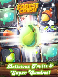 Forest Fruit Crush - Delicious Candy Line & Jelly screenshot, image №1854667 - RAWG