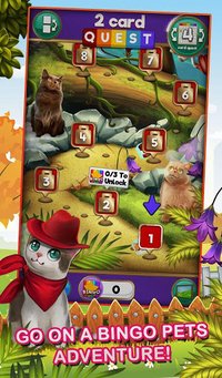 Bingo Pets Mania: Cat Craze screenshot, image №1360137 - RAWG