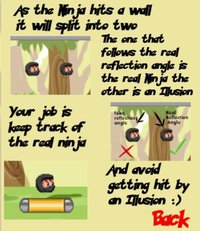 The Ninja iLLusion screenshot, image №1114551 - RAWG