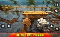Extreme Ball Balance 3D screenshot, image №1702073 - RAWG