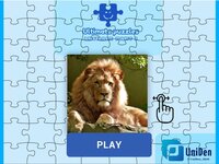 Ultimate Puzzles Animals screenshot, image №2928649 - RAWG