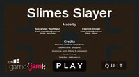 Slimes Slayer screenshot, image №2113646 - RAWG