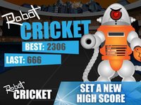 Robot Cricket screenshot, image №1951114 - RAWG