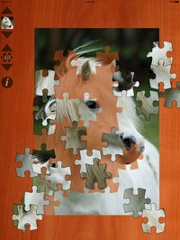 Pony Puzzles screenshot, image №948573 - RAWG