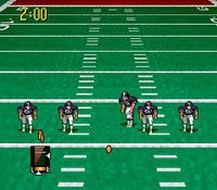 Pro Quarterback screenshot, image №760089 - RAWG