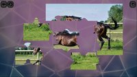 Puzzles for smart: Horses screenshot, image №1703053 - RAWG