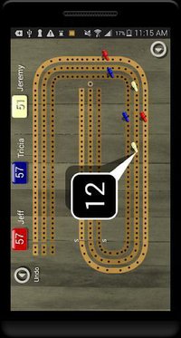 Cribbage Pegboard screenshot, image №1412922 - RAWG