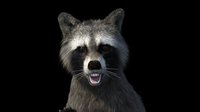 Raccoon Royale screenshot, image №2260624 - RAWG