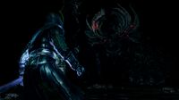 Dark Souls: Prepare To Die Edition screenshot, image №131482 - RAWG