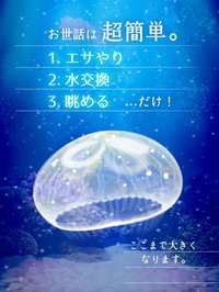 Jellyfish Aquarium Free screenshot, image №1662202 - RAWG